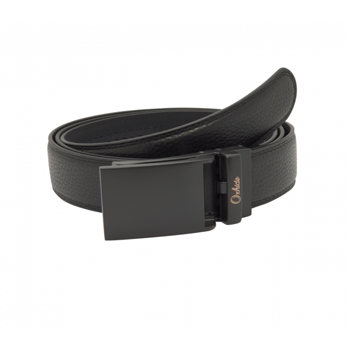 Auto belt lock online